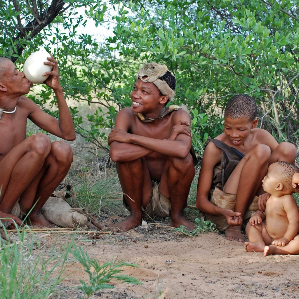 bosquimanos alimentos probioticos