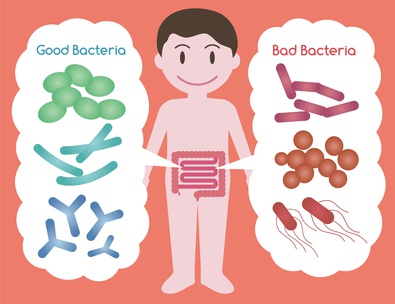 Lee más sobre el artículo Motivos y Claves para tomar alimentos probióticos a diario