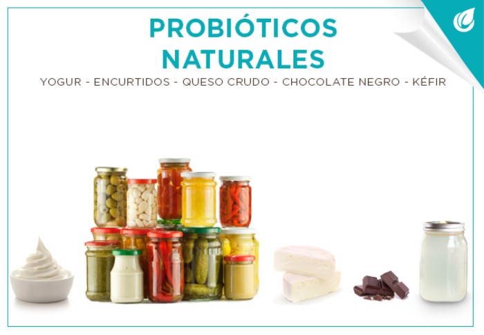 Lee más sobre el artículo Probióticos Naturales: Qué son, cómo y cuándo tomarlos
