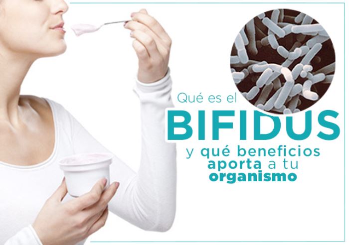 Lee más sobre el artículo Qué es el Bifidus y qué Beneficios aporta a tu Organismo