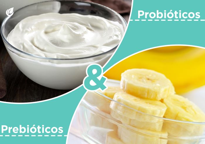 Usos y beneficios de los próbioticos y los prebióticos