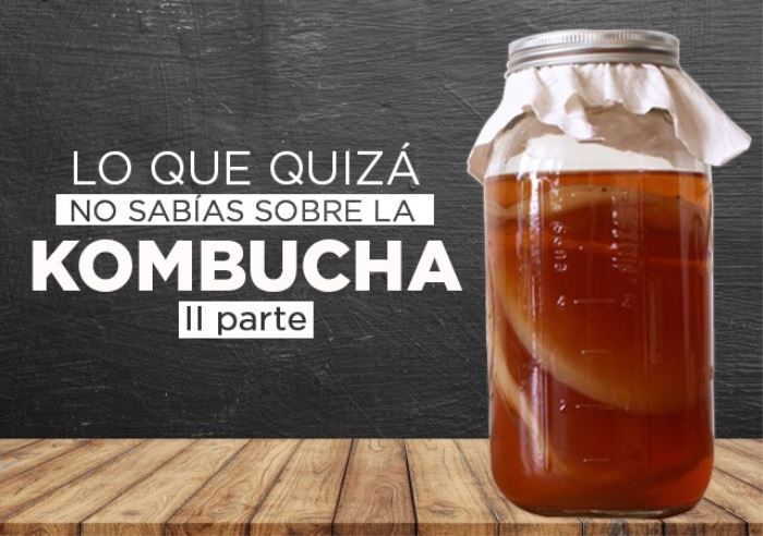 Curiosidades que no conoces sobre la kombucha