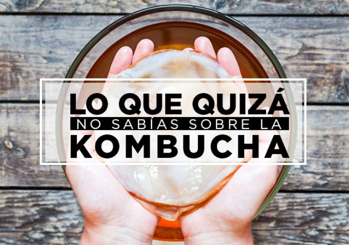 Lee más sobre el artículo Curiosidades de la Kombucha. Lo que quizá No Sabías… (Parte I)