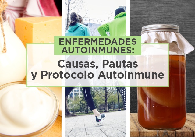 Lee más sobre el artículo Enfermedades autoinmunes: Causas, pautas y protocolo autoinmune