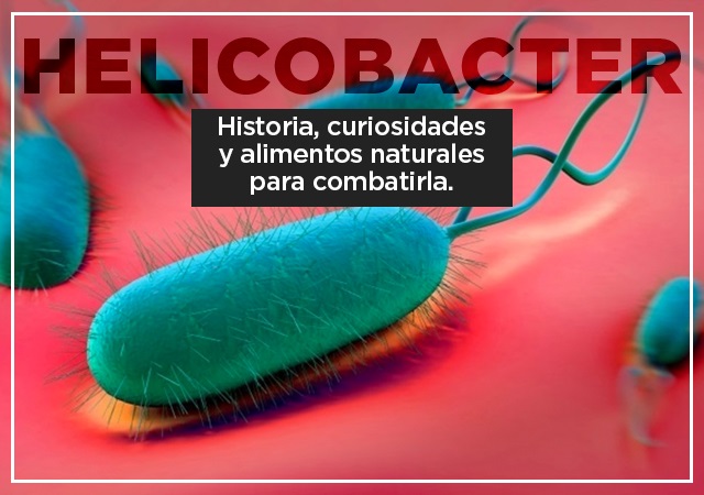 Lee más sobre el artículo Helicobacter: historia, curiosidades y alimentos naturales para combatirla