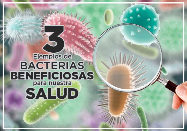 Lee más sobre el artículo 3 ejemplos de bacterias beneficiosas para nuestra salud
