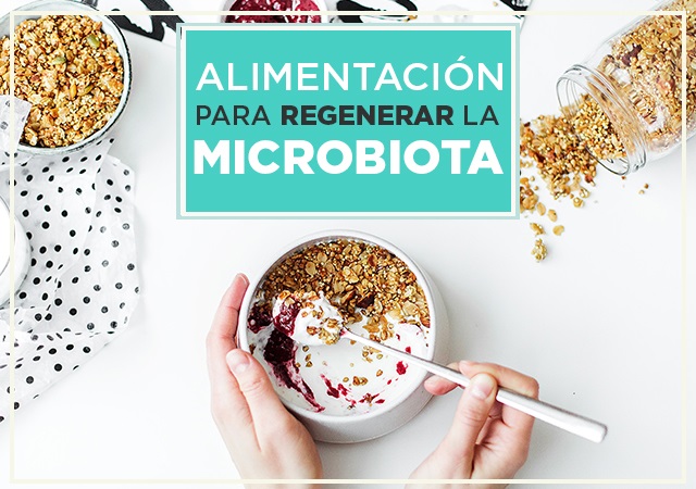 Lee más sobre el artículo Alimentación para Regenerar la Microbiota, Pautas y Trucos