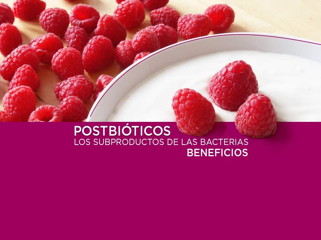 Lee más sobre el artículo Beneficios de los posbióticos, los subproductos de las bacterias.