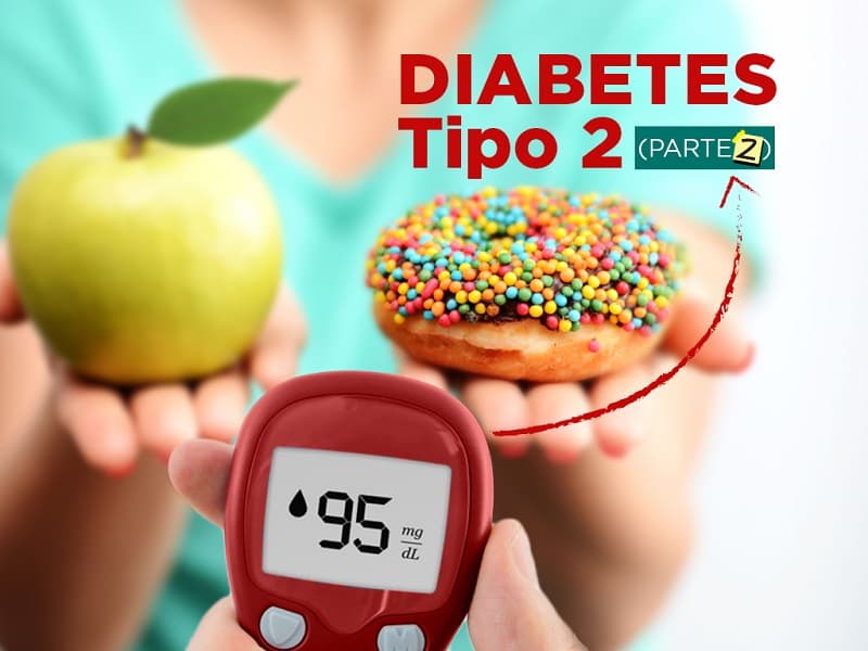 Lee más sobre el artículo Diabetes tipo 2: Alimentación y probióticos (PARTE II)