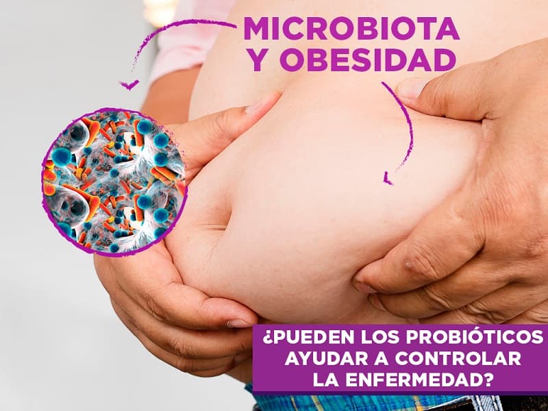 Lee más sobre el artículo Microbiota y obesidad. ¿Pueden los probióticos ayudar a controlar la enfermedad?