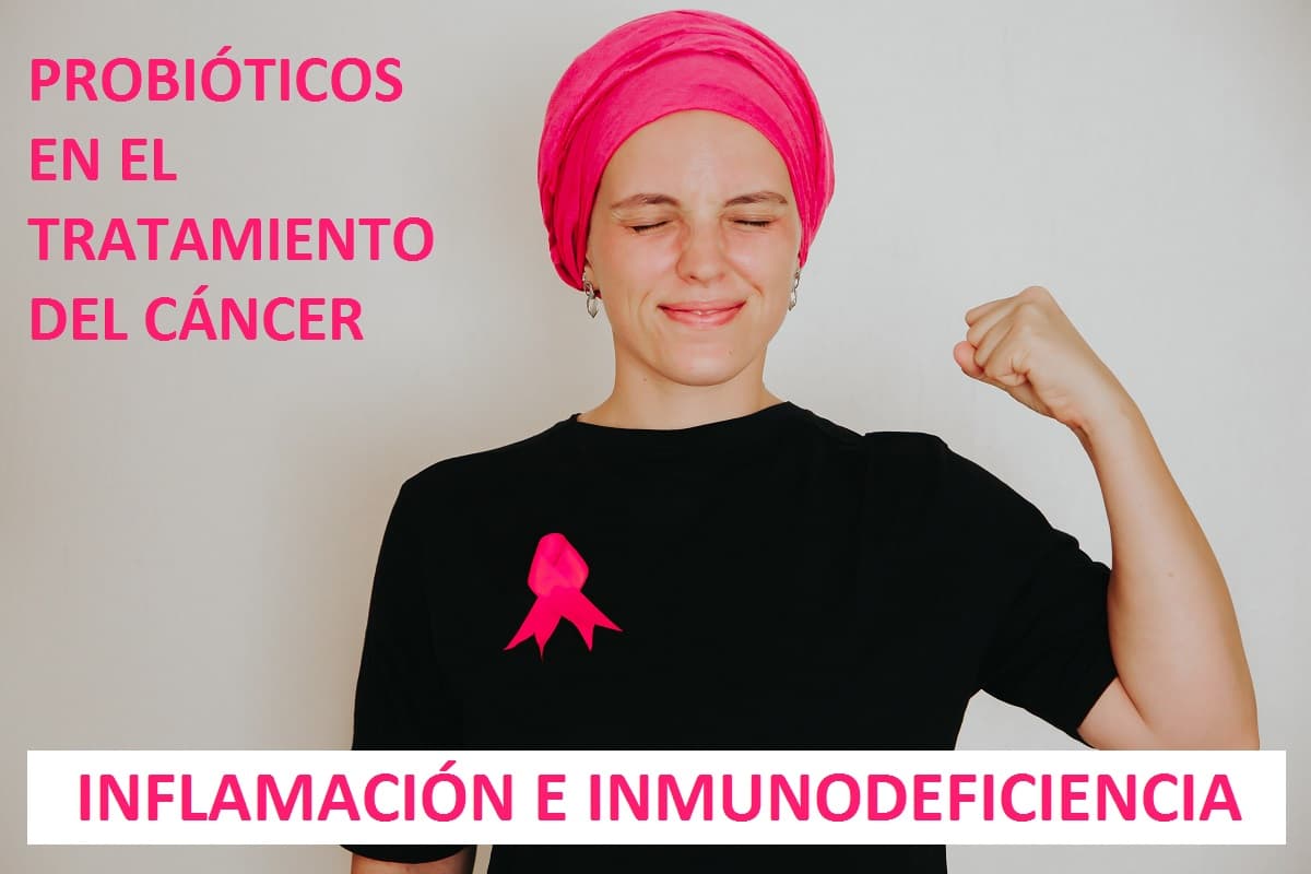 Probióticos inflamación inmunodeficiencia cáncer