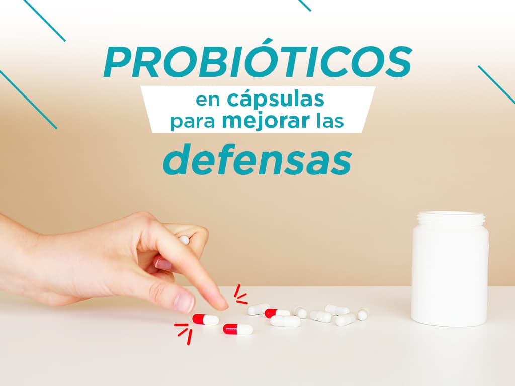Lee más sobre el artículo Probióticos en cápsulas para mejorar las defensas