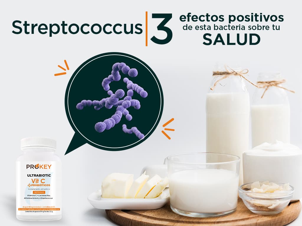 Beneficios de la bacteria Streptococcus
