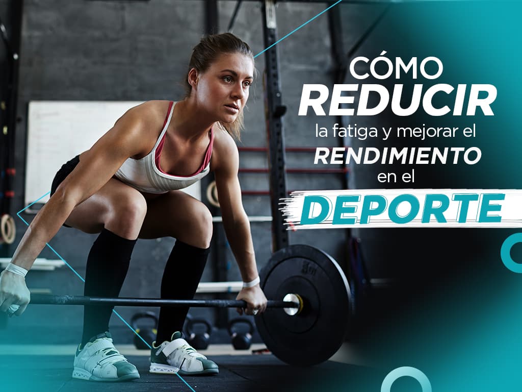 Combatir fatiga deporte probioticos